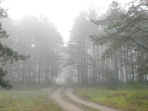 mist