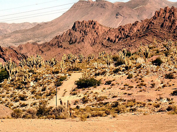 altiplano