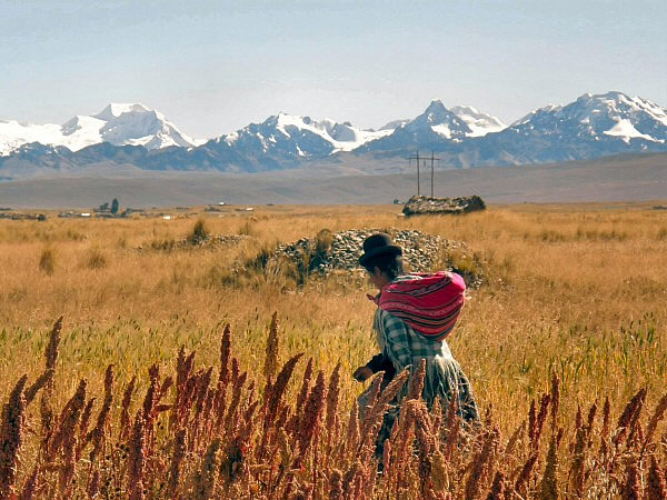 andes