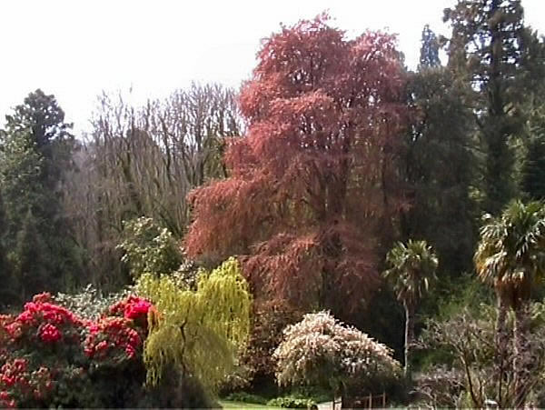 powerscourt
