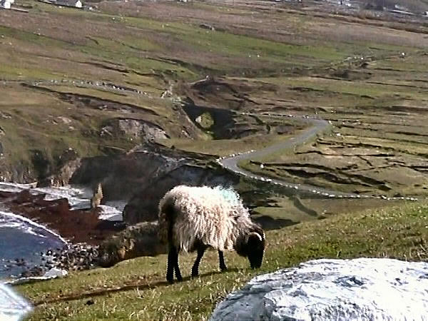 achill