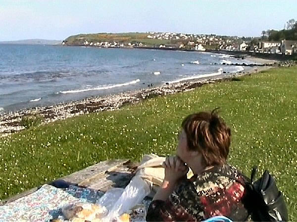 picknick