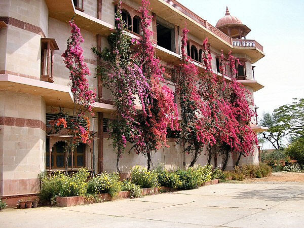 jaipur