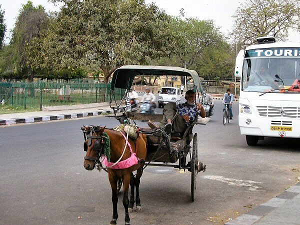 jaipur