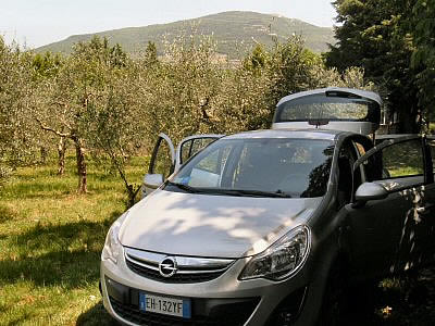 auto