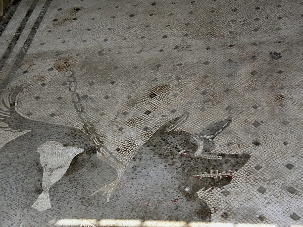 Pompei 8