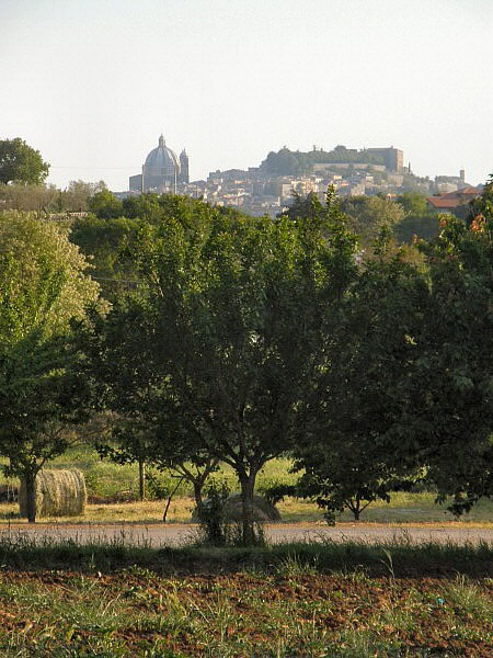 montefiascone
