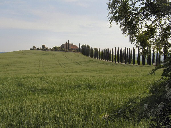 toskane 1
