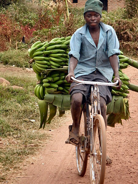 bananentransport