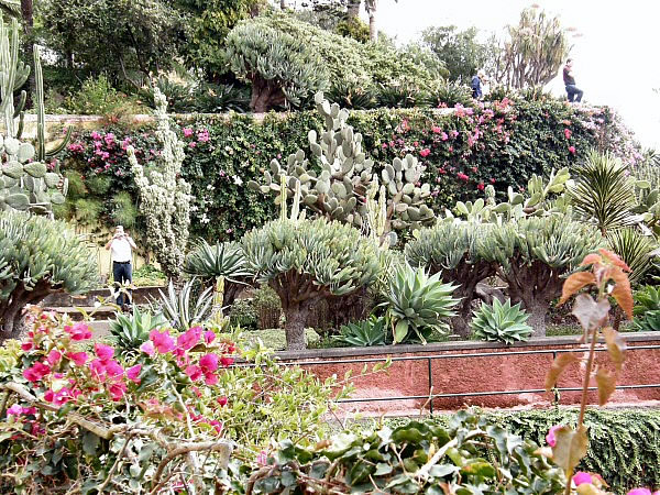 botanische tuin
