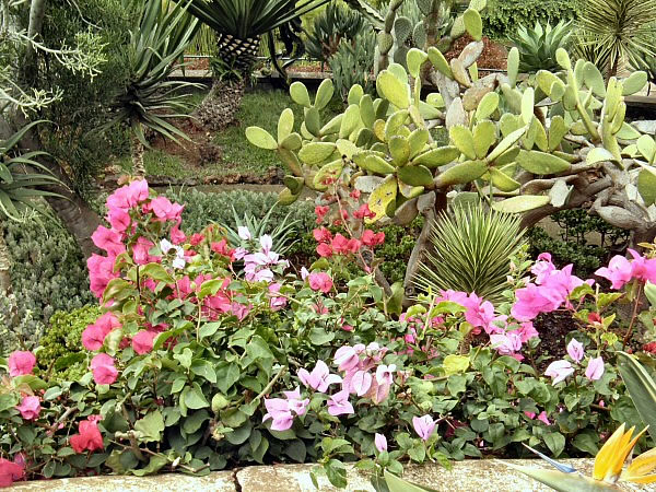 botanische tuin