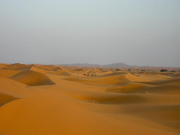 duinen