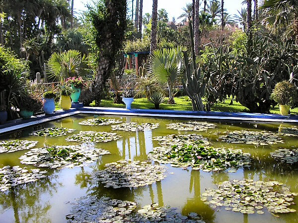majorelle