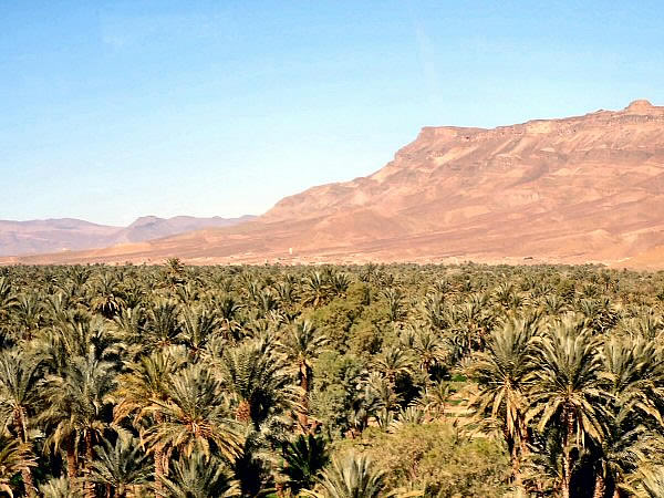 draa