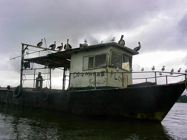 livingston
