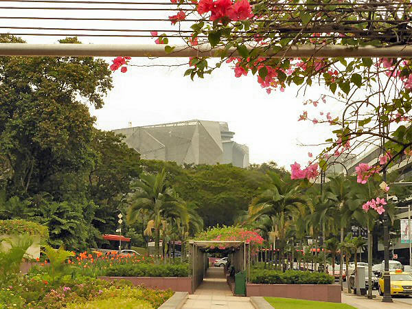 Dhoby Gaut