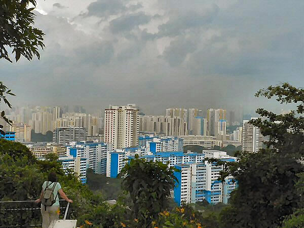 Mt Faber