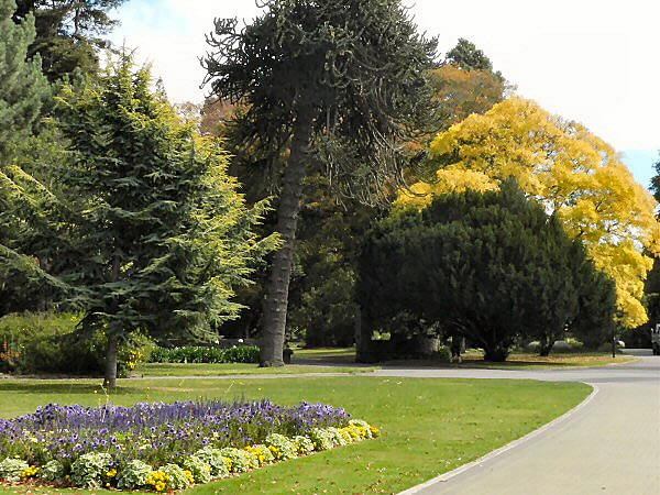 botanische tuin