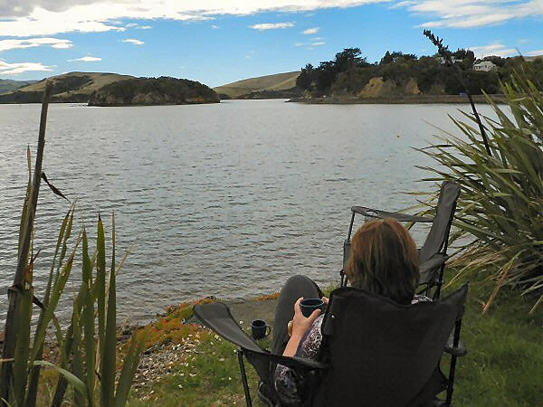 DUnedin peninsula