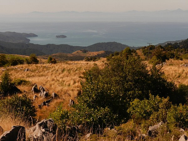 Takaka Hill
