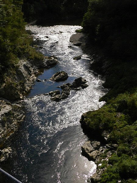 Pelorus Bridge 2