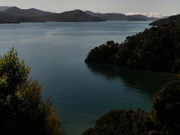 Charlotte Sound