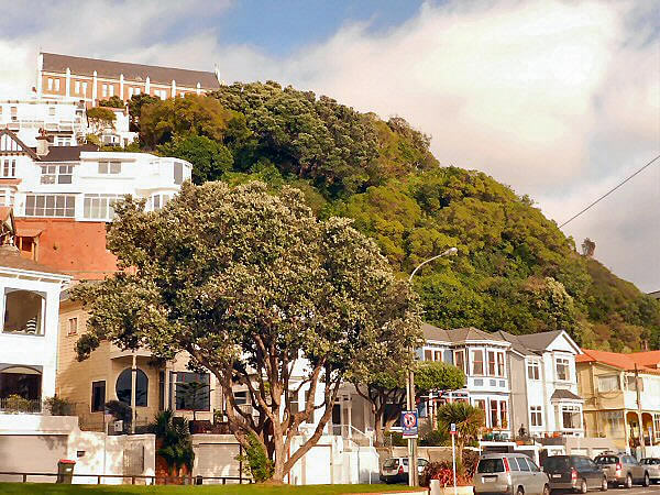 Oriental Parade
