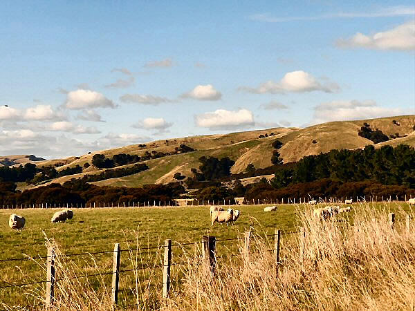 Wairarapa