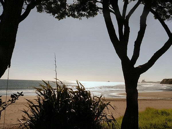 Oakura Beach