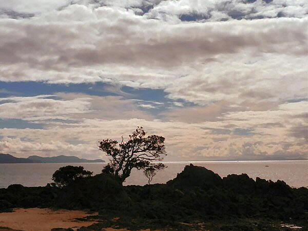 Coromandel 1
