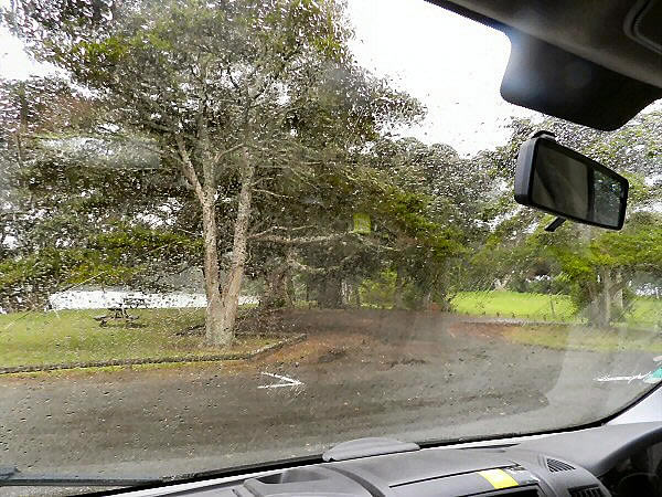 regen