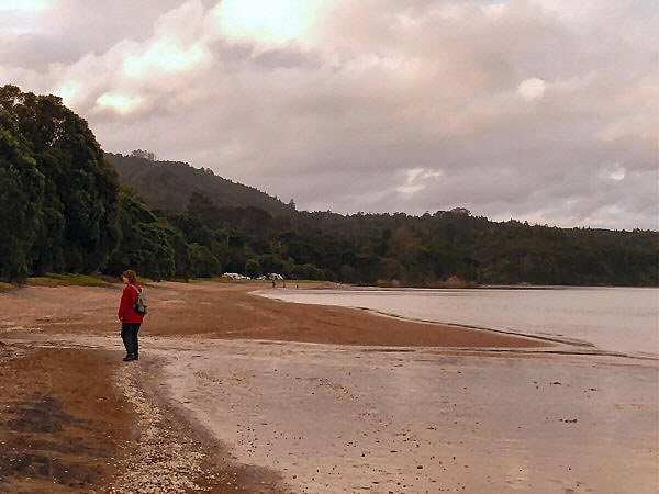 Cornwallis 2