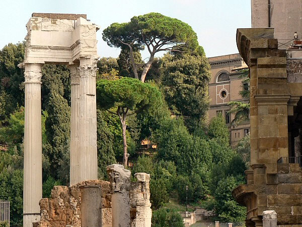 forum