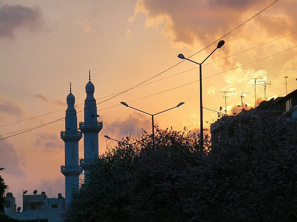 Latakia