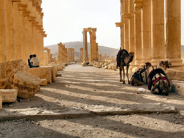 Palmyra