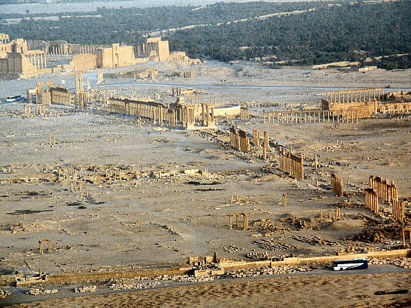 Palmyra