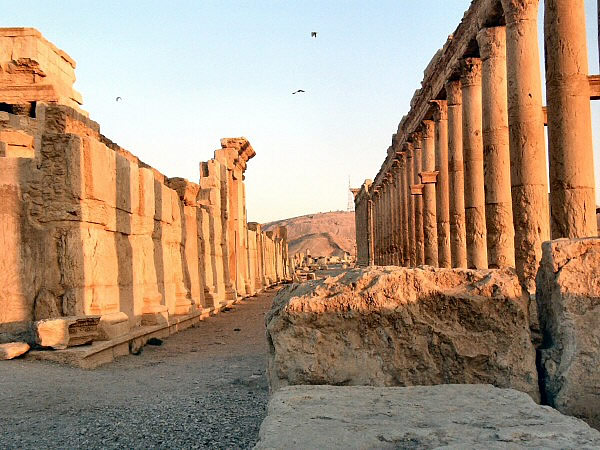 Palmyra
