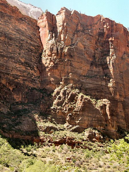 zion 1