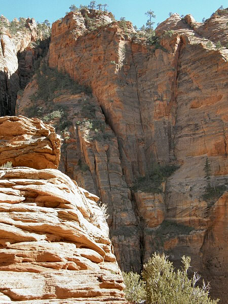 zion4