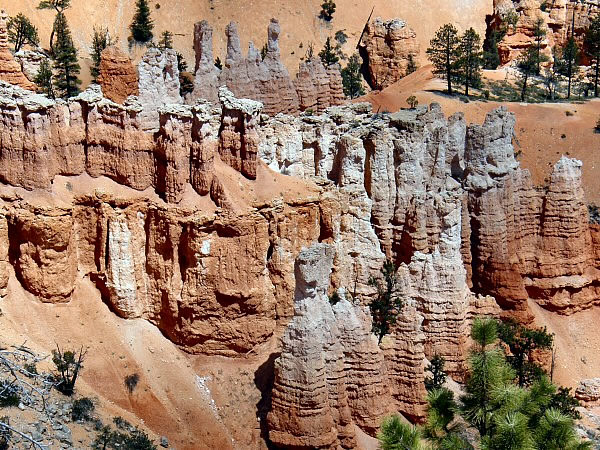 bryce8