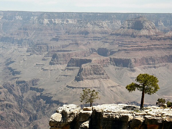 south rim